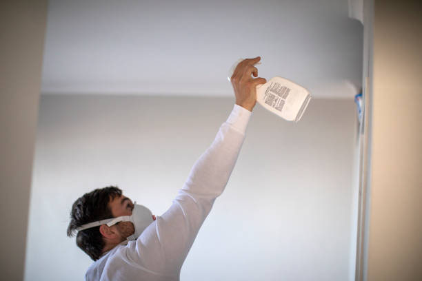 Best Emergency Mold Removal  in Phenix City, AL