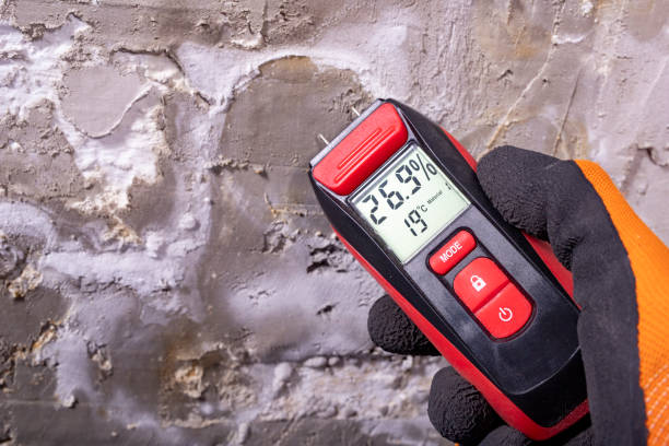 Trusted Phenix City, AL Mold Removal Experts